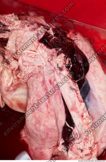 Photo Textures of RAW Pork Viscera